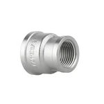 Муфта редукционная Thermo Alliance Forte 1/2
