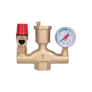 Группа безопасности котла Thermo Alliance Standart 1 Группа безопасности котла Thermo Alliance Standart 1
