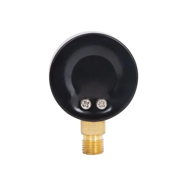 Манометр Thermo Alliance Standart SD1704B металлический, 50 мм, с нижним подключением 1/4