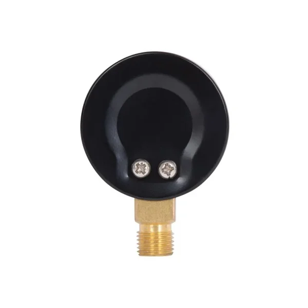 Манометр Thermo Alliance Standart SD1706B 50 мм с нижним подключением 1/4