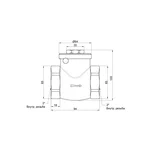 Обратный клапан Thermo Alliance Standart SD242W50 латунный с внутренней резьбой 2 (SD242W50)