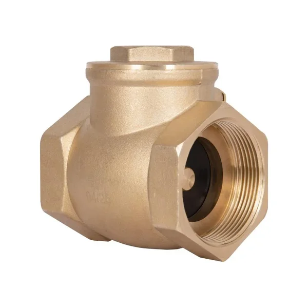 Обратный клапан Thermo Alliance Standart SD242W50 латунный с внутренней резьбой 2 (SD242W50)