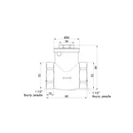 Обратный клапан Thermo Alliance Standart SD242W40 латунный с внутренней резьбой 1 1/2 (SD242W40)