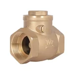 Обратный клапан Thermo Alliance Standart SD242W40 латунный с внутренней резьбой 1 1/2 (SD242W40)