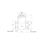 Обратный клапан Thermo Alliance Standart SD242W25 латунный с внутренней резьбой 1 (SD242W25)