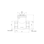 Обратный клапан Thermo Alliance Standart SD242W15 латунный с внутренней резьбой 1/2 (SD242W15)