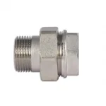 Сгон-американка Thermo Alliance Forte SF190W20 латунный никелированный прямой с резьбой 3/4