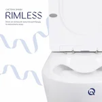 Унитаз-компакт Qtap Stork/Swan QT15222178W керамический белый безободковый с сиденьем Soft-close (SD00036225)