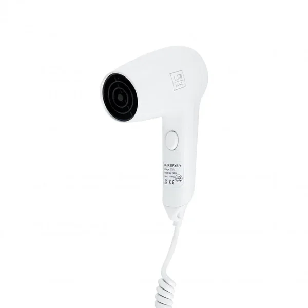 Настенный фен Lidz LDTAR0191WHI32510 Tarnow 0191 из белого ABS-пластика 1100 Вт (LDTAR0191WHI32510)