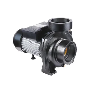 Насос поверхностный центробежный Thermo Alliance CPm300/4 2,2 кВт