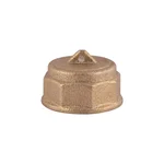 Заглушка Thermo Alliance Standart SD40215 латунная 1/2