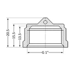 Заглушка Thermo Alliance Standart SD40225 латунная с внутренней резьбой 1 (SD40225)