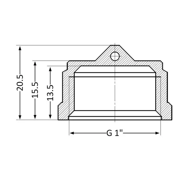 Заглушка Thermo Alliance Standart SD40225 латунная с внутренней резьбой 1 (SD40225)