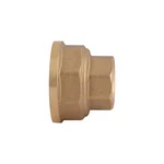 Муфта Thermo Alliance Standart 1/2