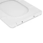 Сиденье для унитаза Qtap (Crow 490) с микролифтом Slim QT99SC6108W