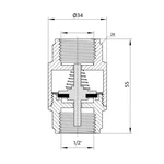Зворотний клапан Thermo Alliance Forte 1/2
