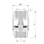 Зворотний клапан Thermo Alliance Forte 1