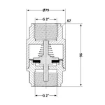 Обратный клапан Thermo Alliance Forte TAF240W50 латунный никелированный с латунным штоком 2