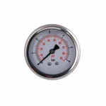 Манометр с глицерином Thermo Alliance Forte 6 бар, 1/4