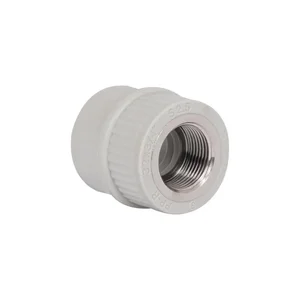 Муфта комбинированная Thermo Alliance PPR 32х3/4