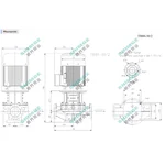 TB80-30/2 SHIMGE 380В цирк. сухий ротор  11 кВт Hmax 42м Qmax 1500л/хв DN80 500мм {1}