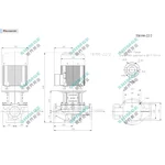 TB100-22/2 SHIMGE 380В цирк. сухий ротор  7.5 кВт Hmax 27м Qmax 1833л/хв DN100 500мм {1}