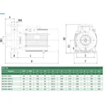 SGT65-125/5.5 SHIMGE відцентр. фланц. (5.5 кВт, Hmax=23.0м, Qmax=2217л/хв){1}