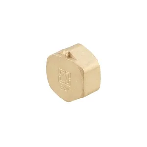 Заглушка Raftec GOLD під пломбу ВВ 3/4 Заглушка Raftec GOLD під пломбу ВВ 3/4