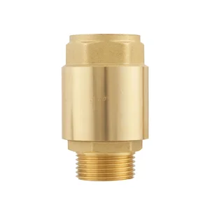 Клапан зворотнього ходу Raftec EUROPE DN25 1