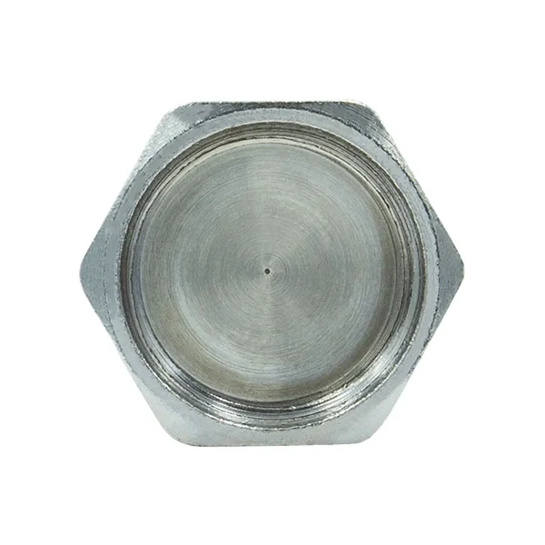 Заглушка Raftec PN40 ВВ 3/4