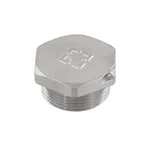 Заглушка Raftec PN40 ЗЗ 1 1/4