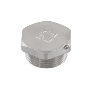 Заглушка Raftec PN40 ЗЗ 1 1/4