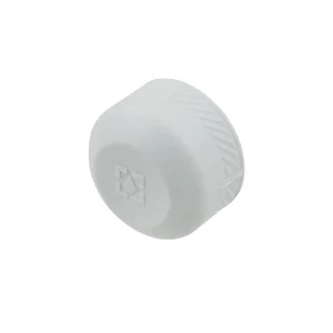 Заглушка PPR Raftec 25 мм REC25