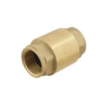 Обратный клапан для воды Raftec EUROPE DN25 1