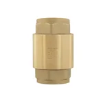 Обратный клапан для воды Raftec EUROPE DN25 1