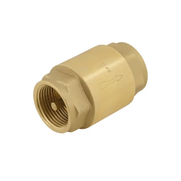 Обратный клапан для воды Raftec EUROPE DN25 1