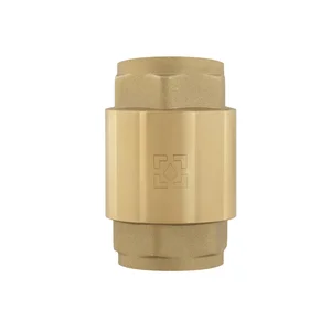 Обратный клапан для воды Raftec EUROPE DN25 1 Обратный клапан для воды Raftec EUROPE DN25 1